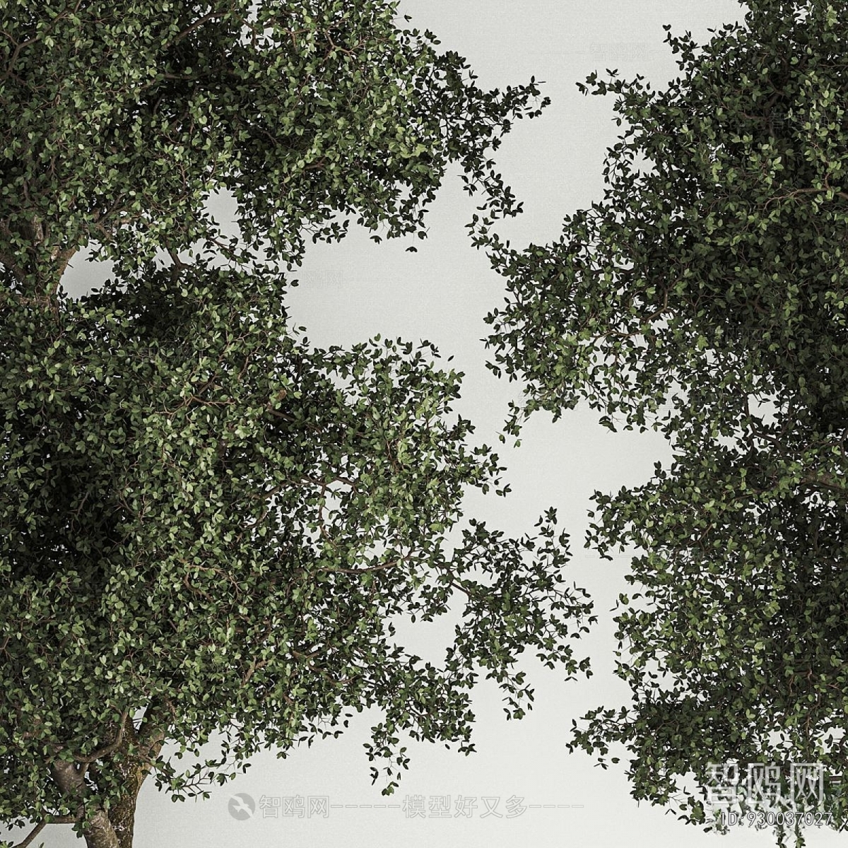 Modern Tree Pool