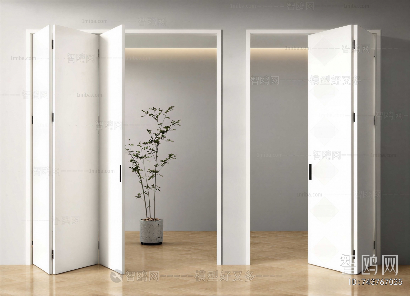 Modern Door