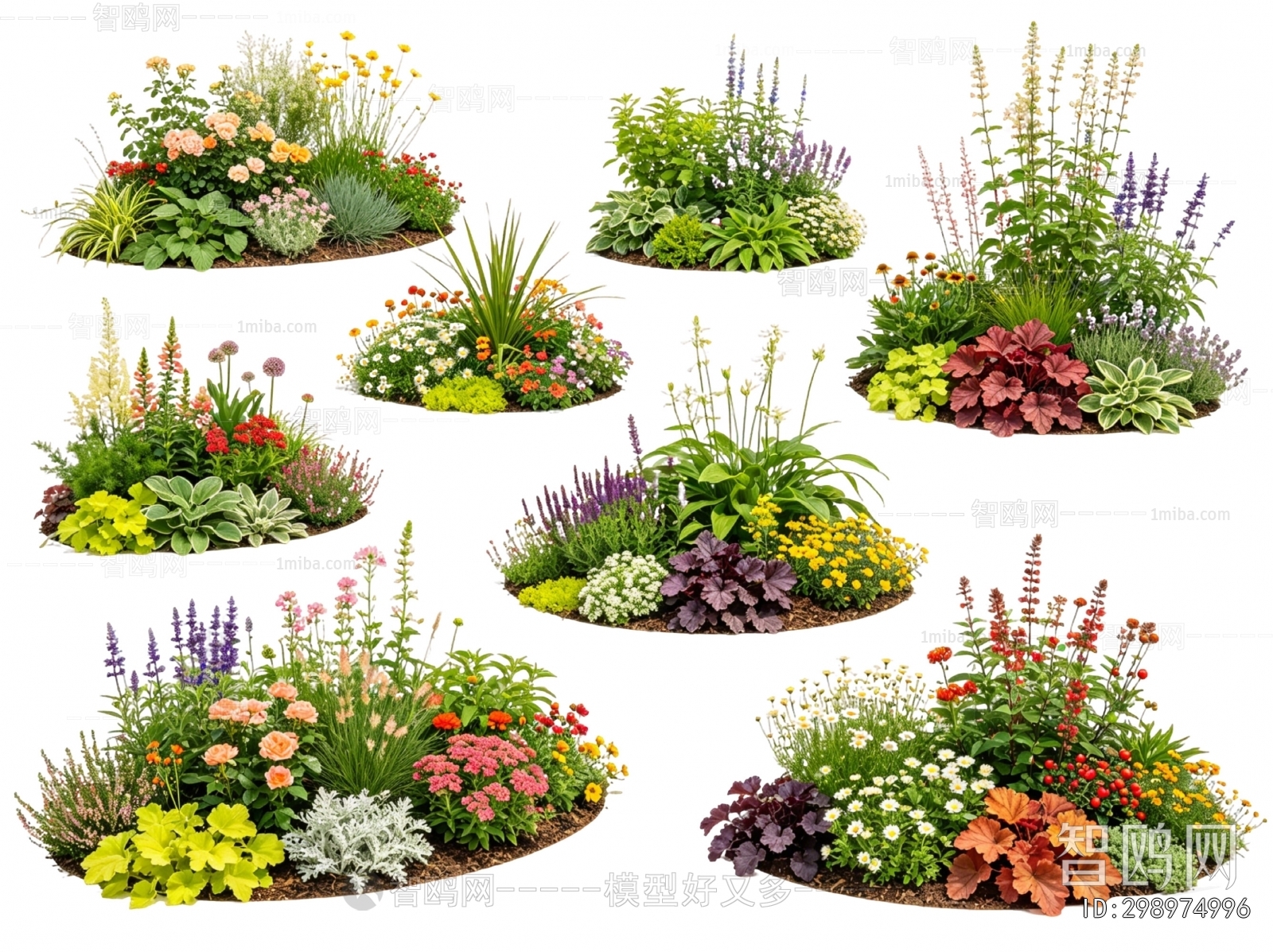 Modern Flowers And Grass
