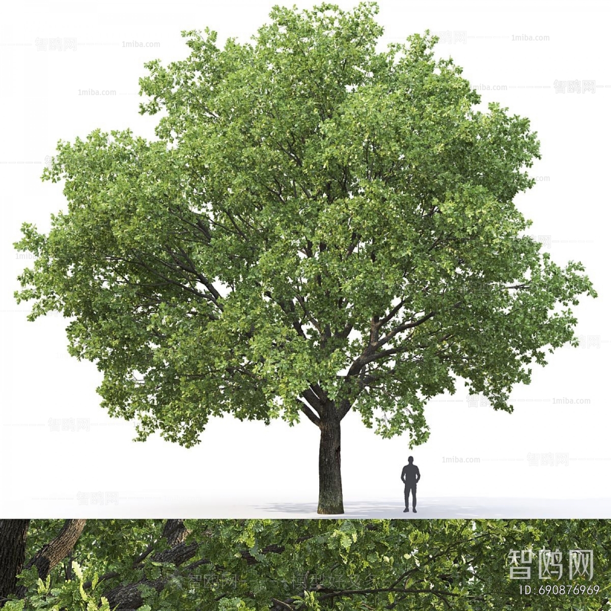 Modern Tree