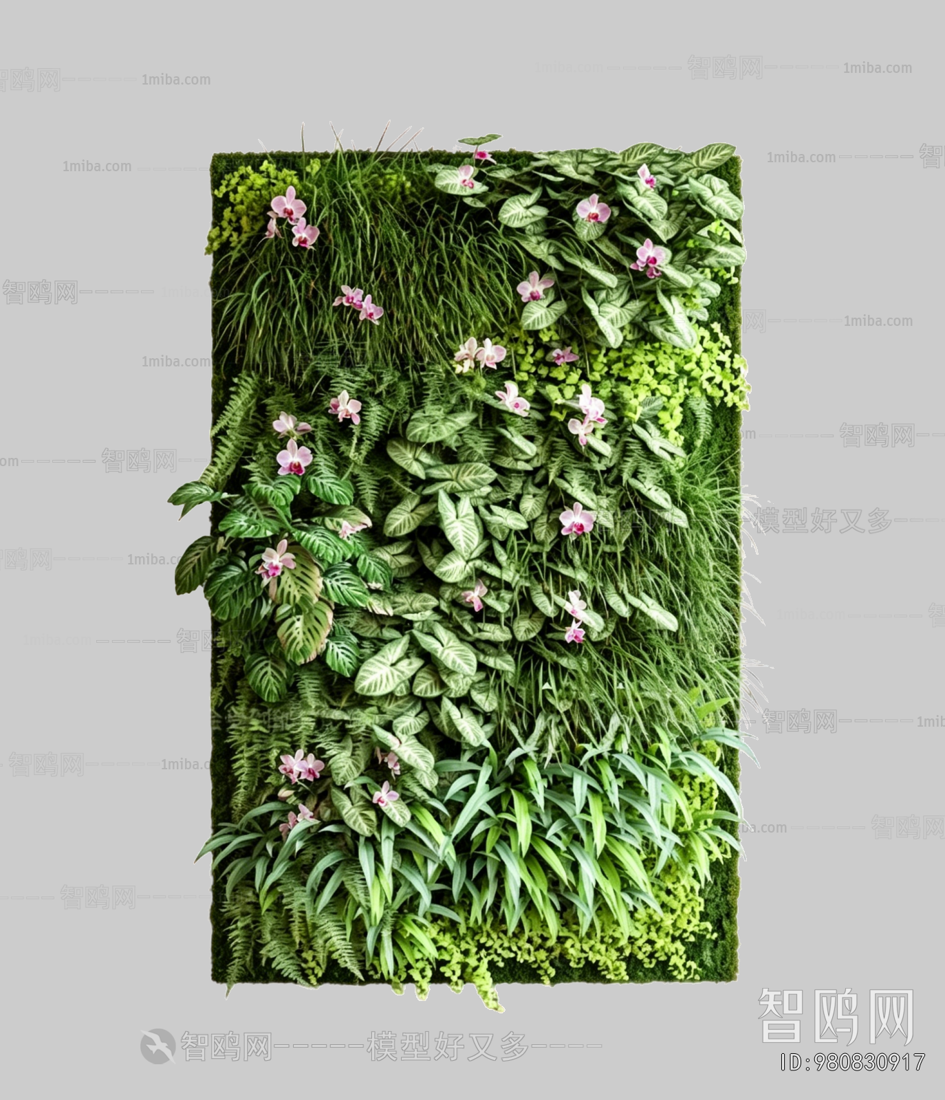Plant Leaves