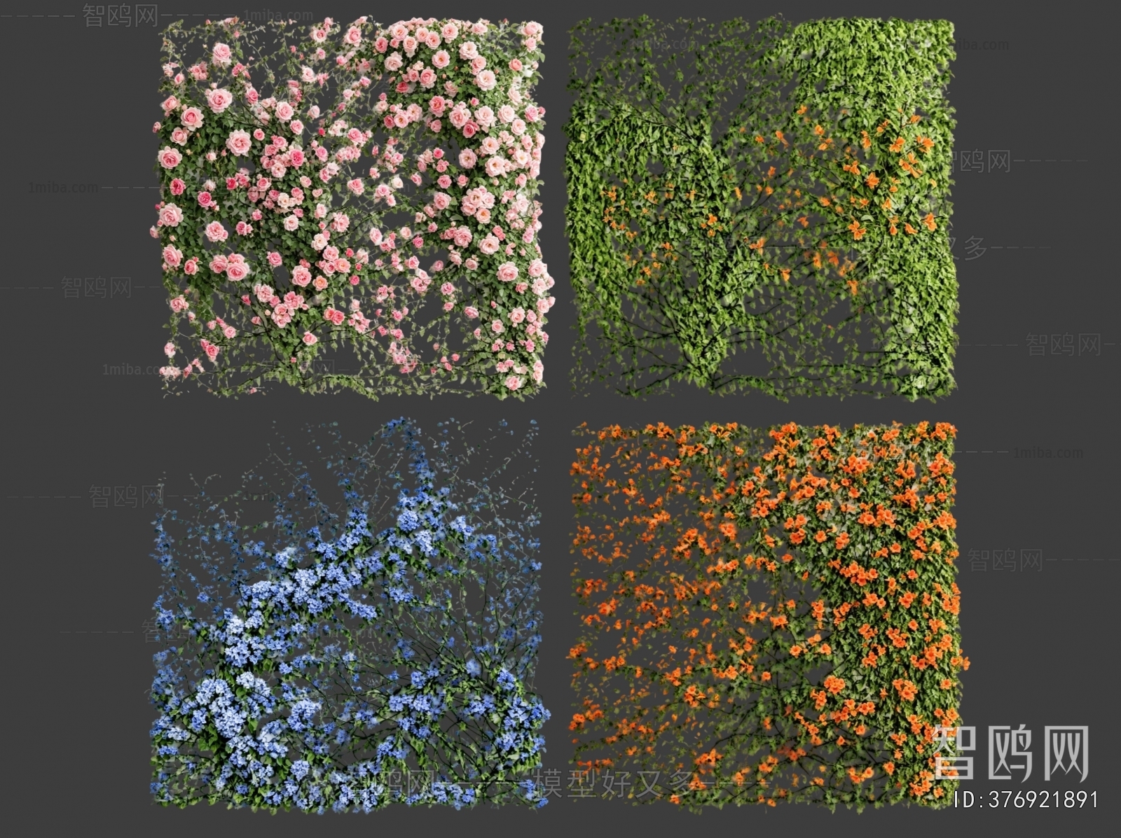 Modern Plant Wall