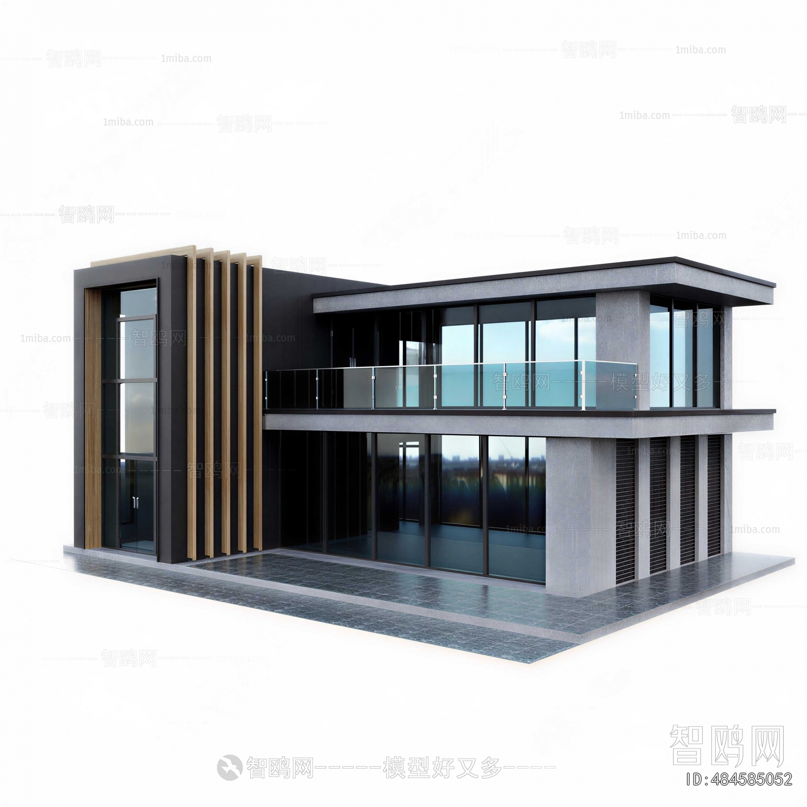 Modern Villa Appearance