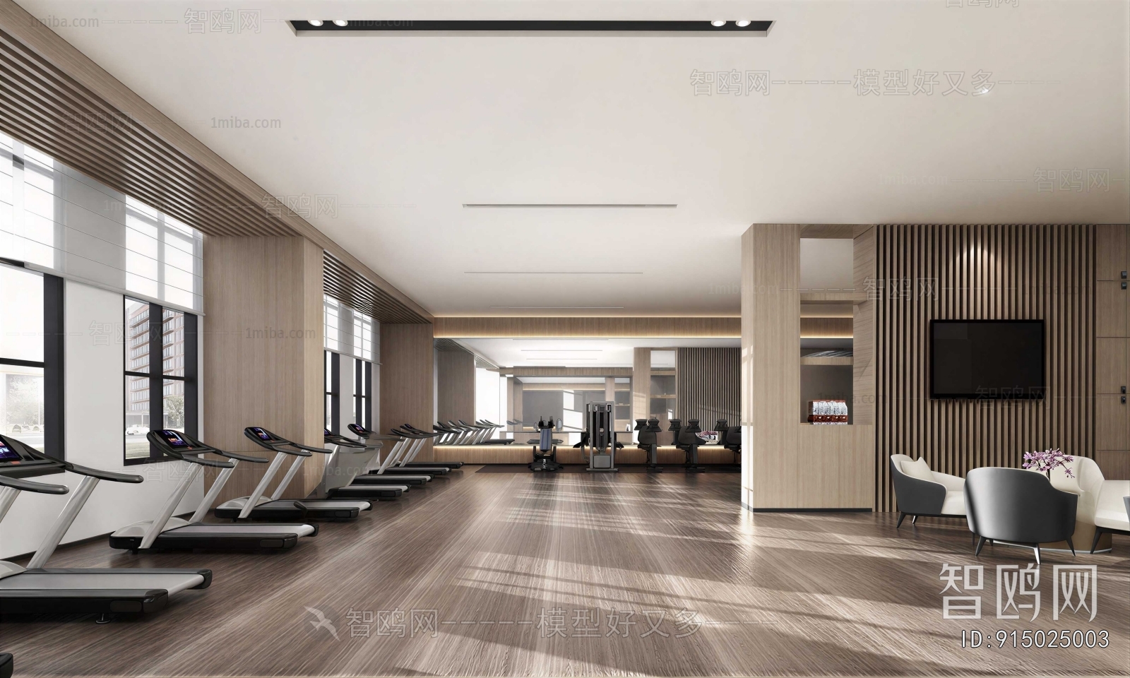 Modern Gym