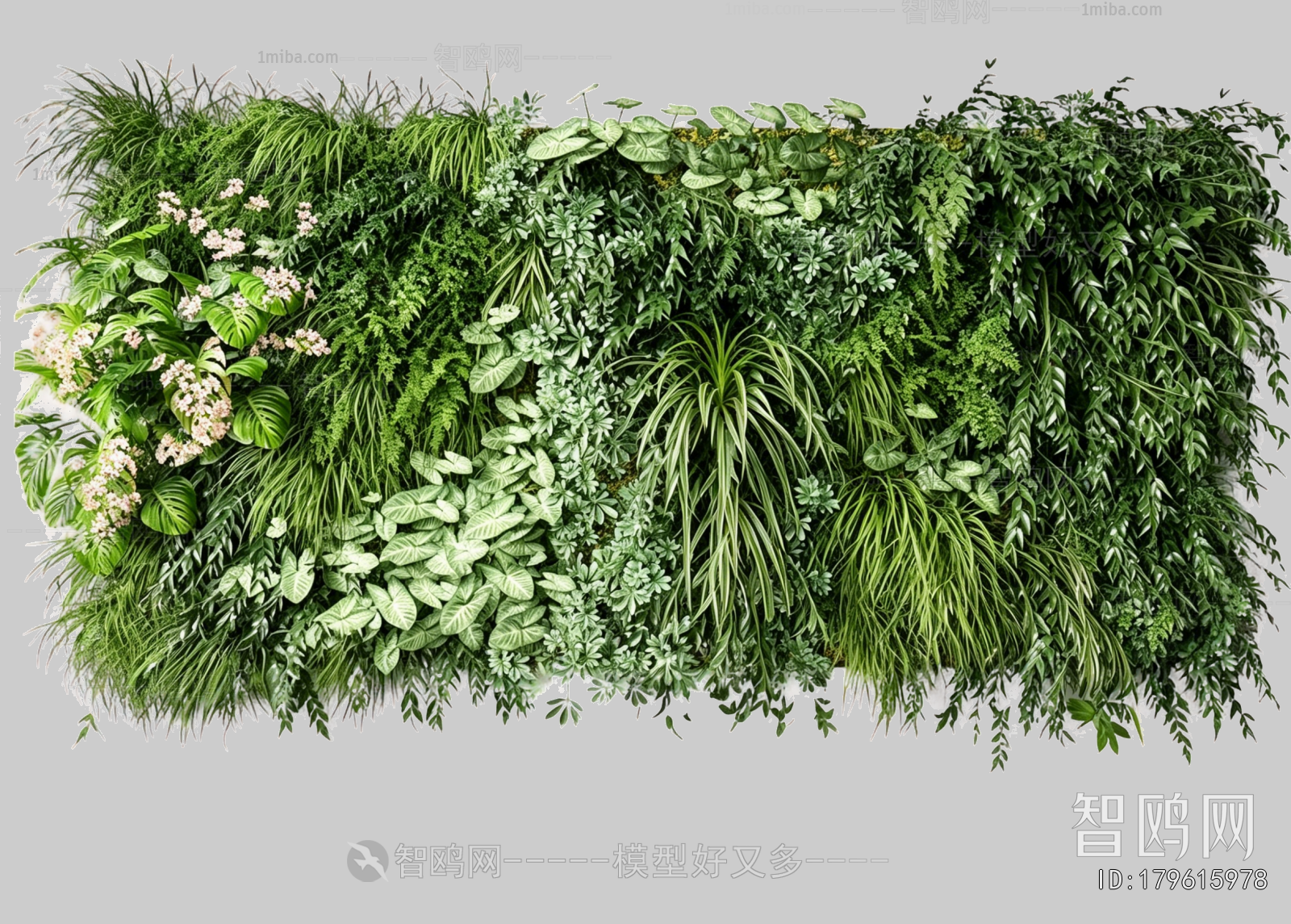Plant Leaves