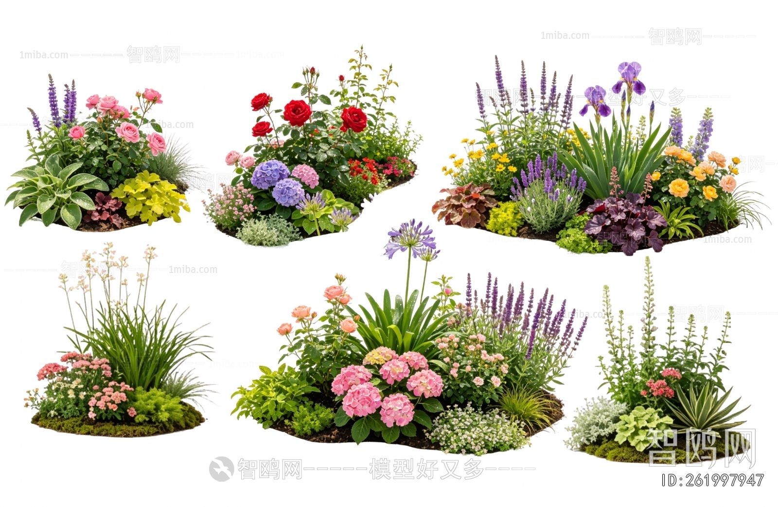 Modern Flowers And Grass