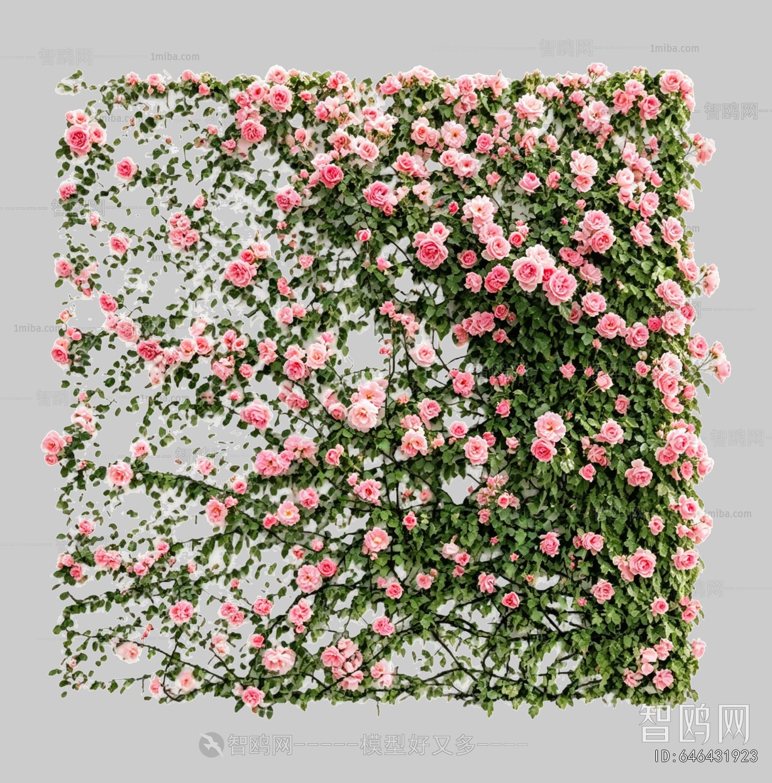Plant Leaves