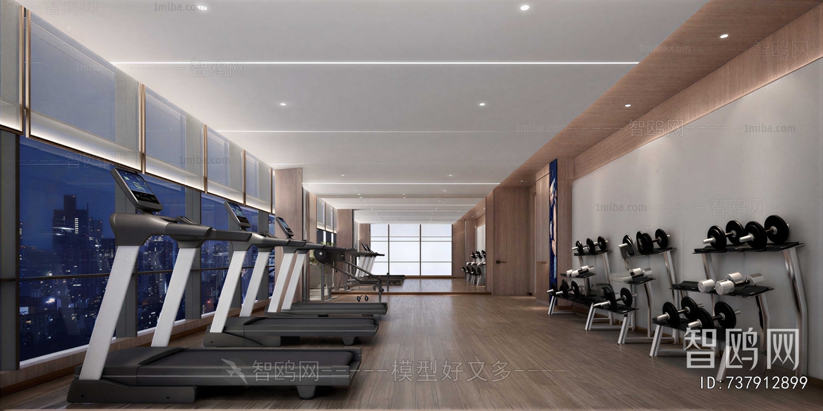 Modern Gym