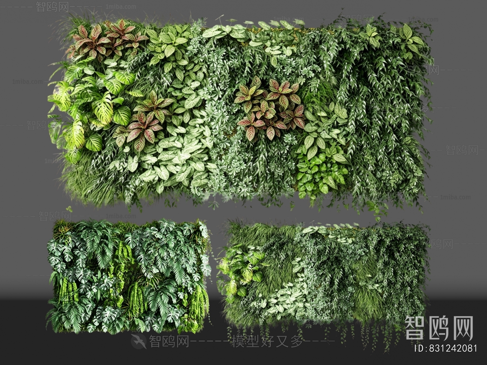 Modern Plant Wall
