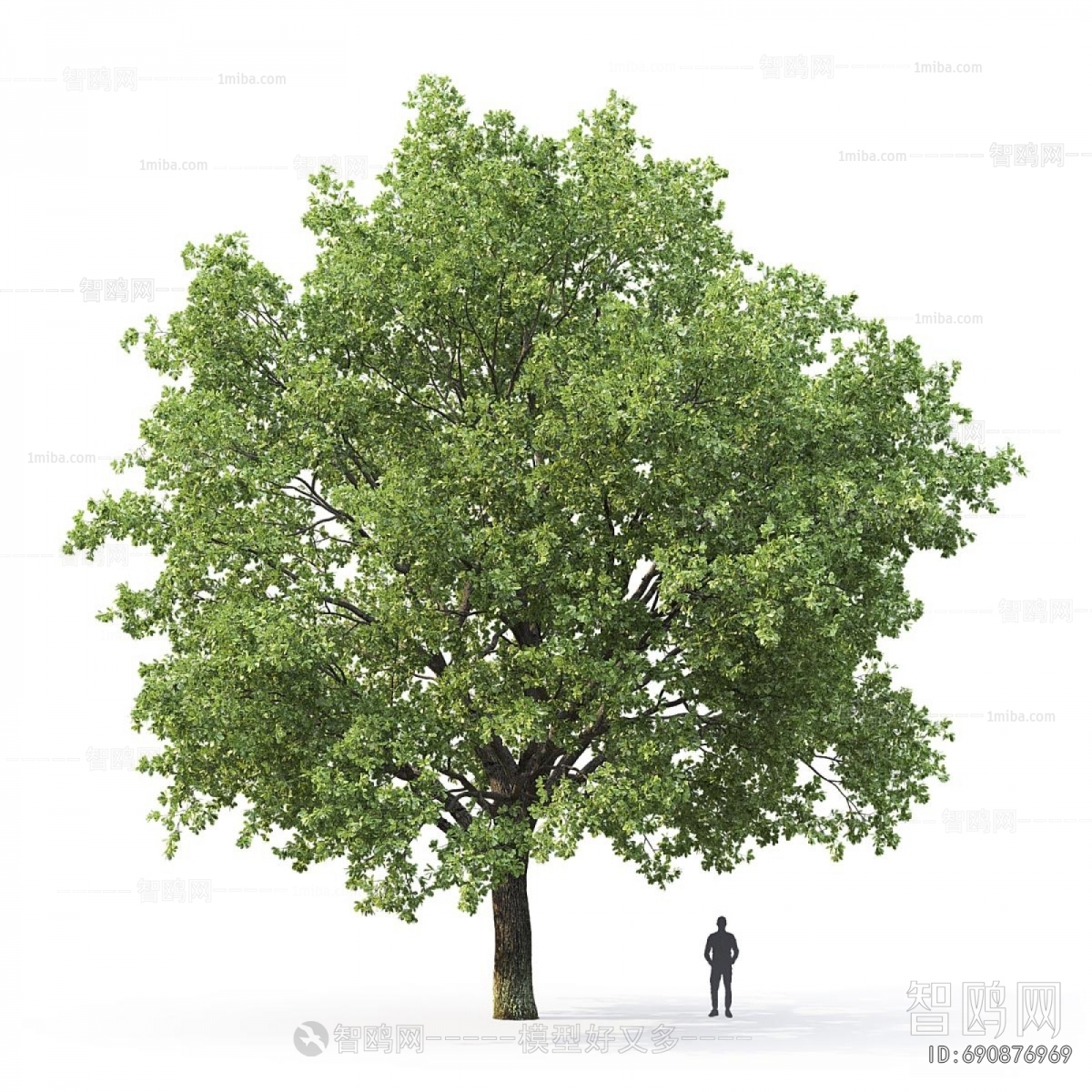 Modern Tree