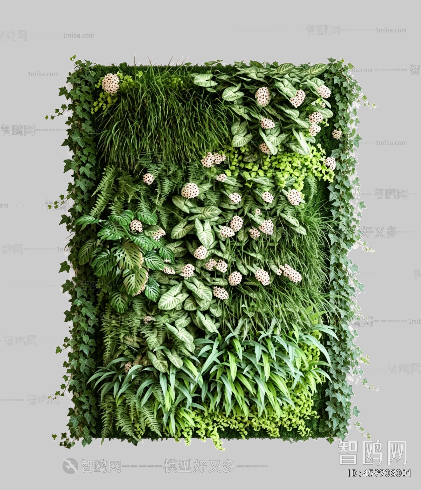 Plant Leaves