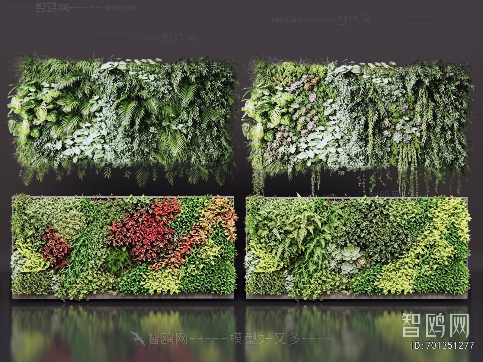Modern Plant Wall