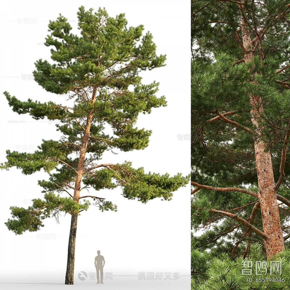 Modern Tree
