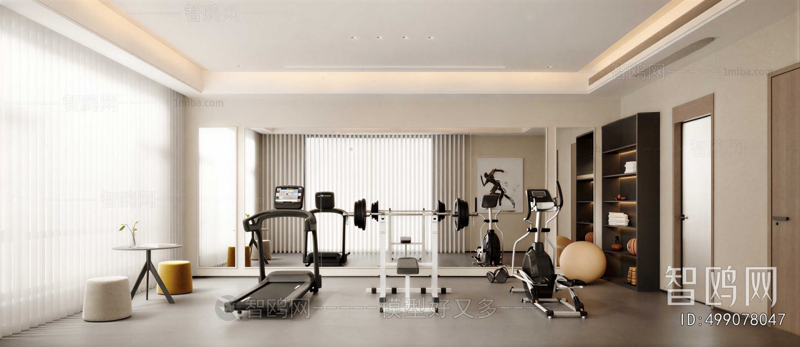 Modern Home Fitness Room