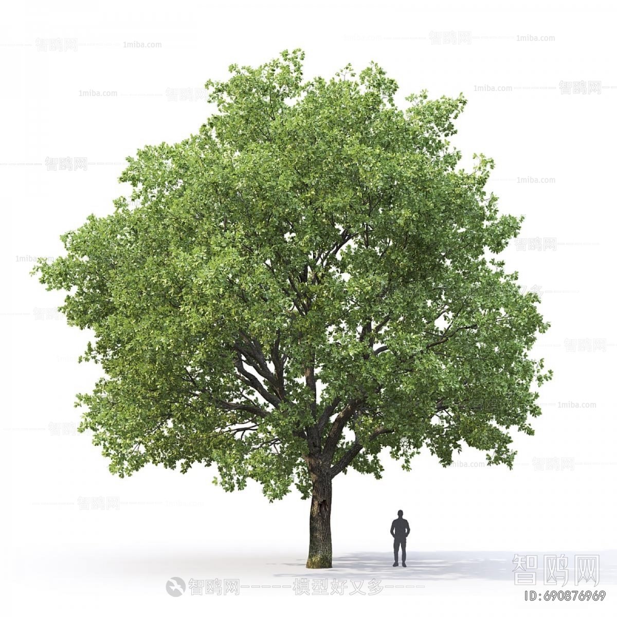 Modern Tree
