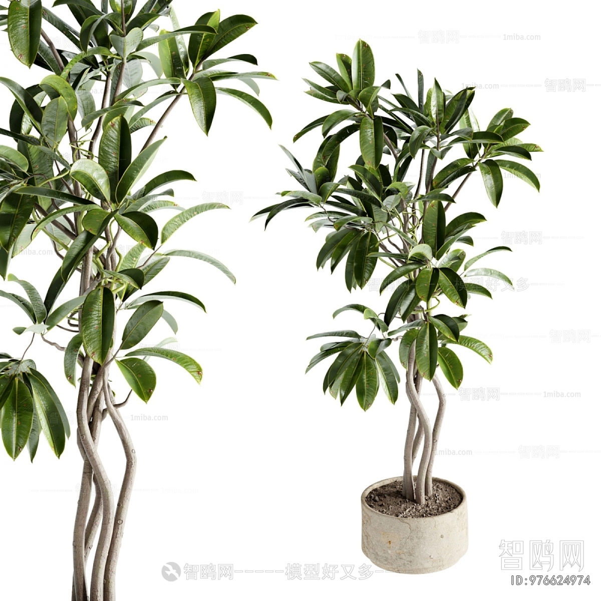 Modern Ground Green Plant Potted Plants