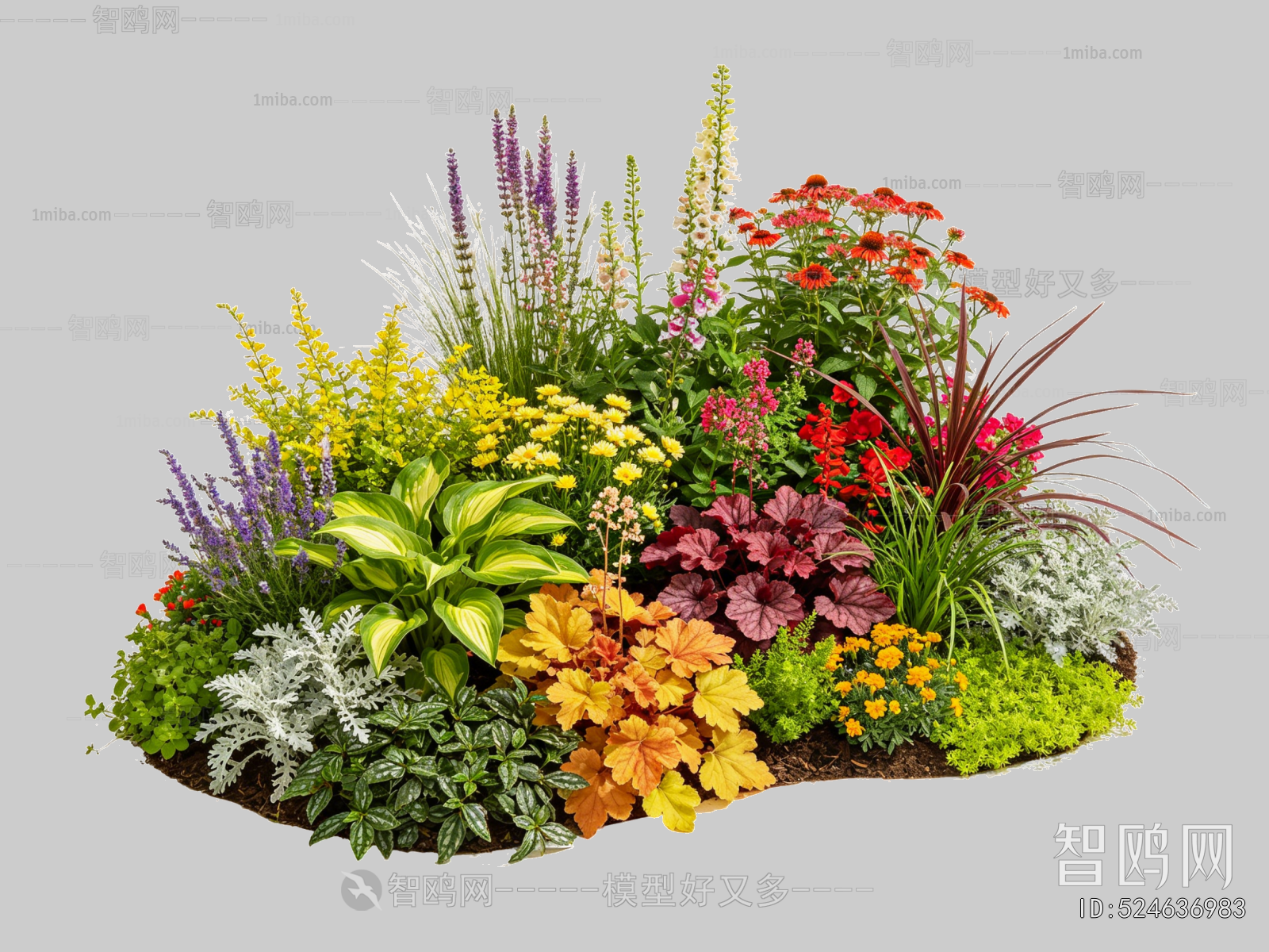 Plant Leaves