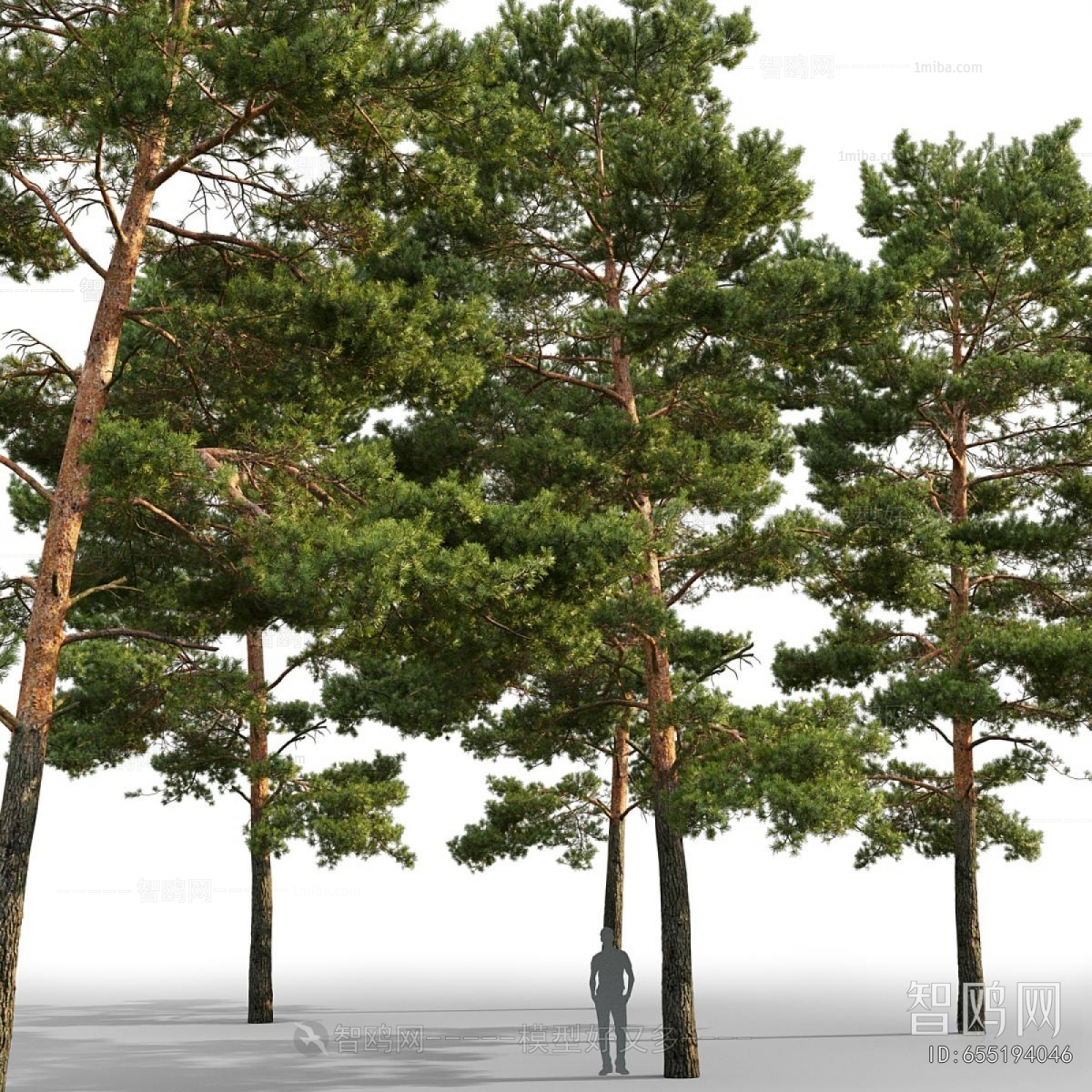 Modern Tree