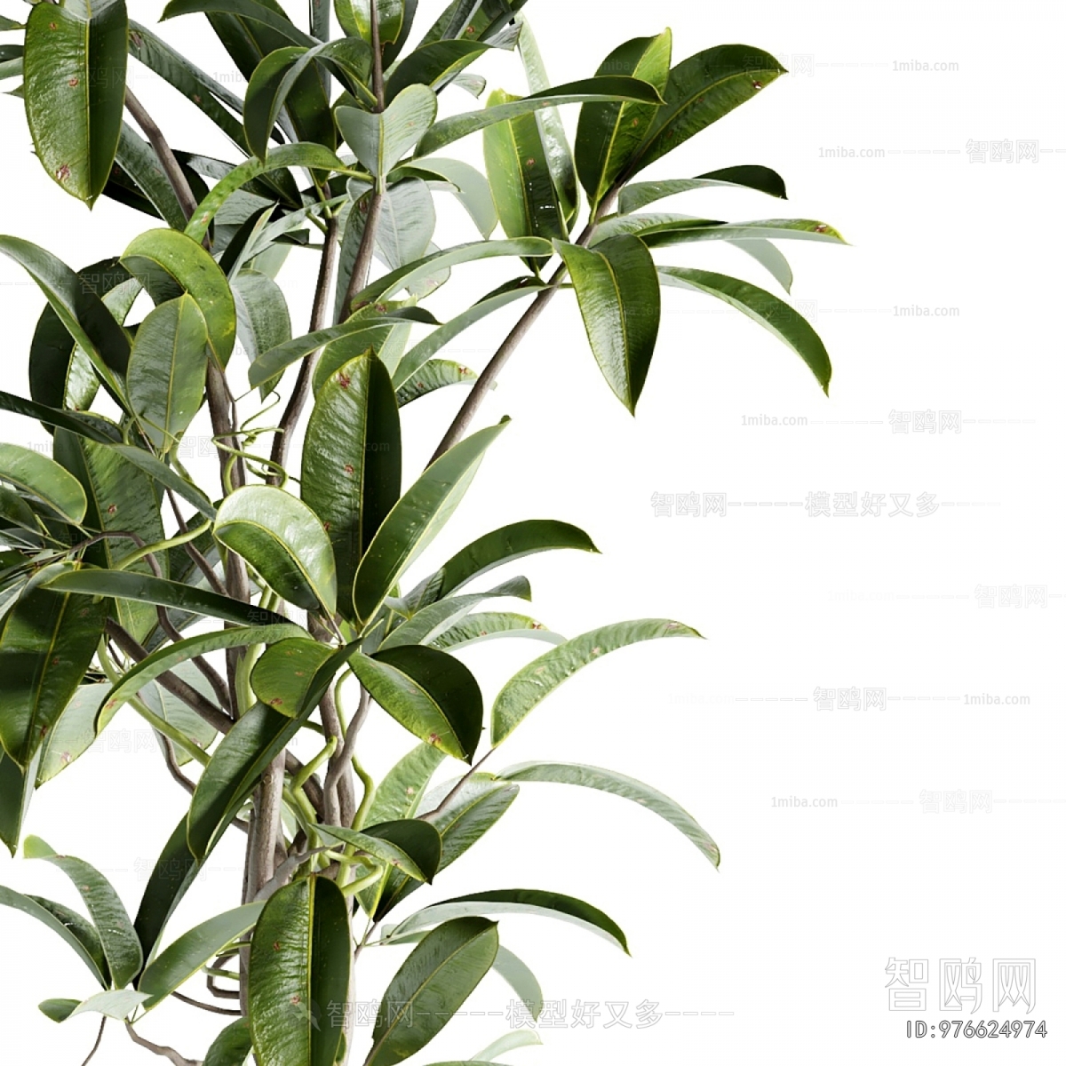 Modern Ground Green Plant Potted Plants