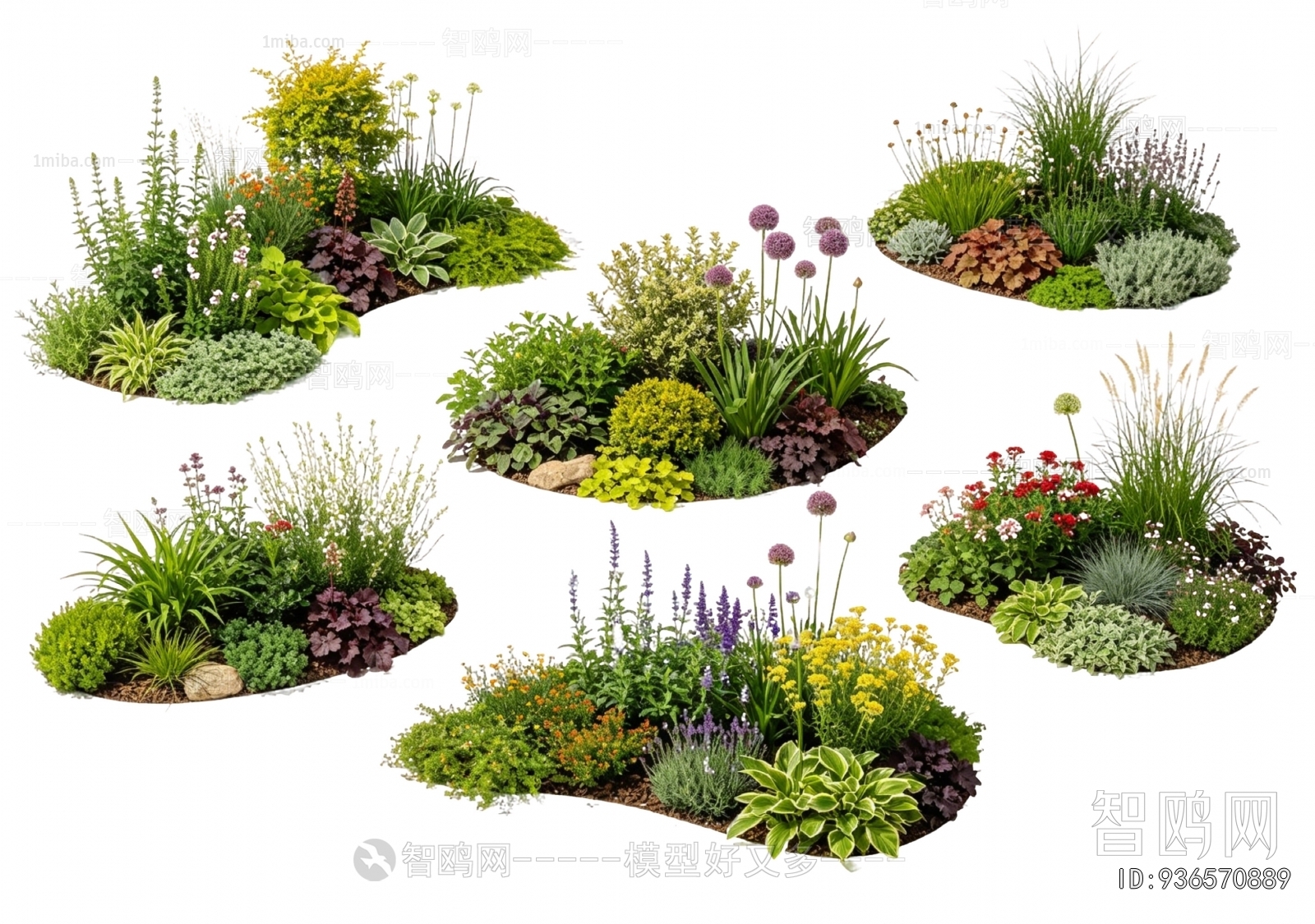 Modern Flowers And Grass