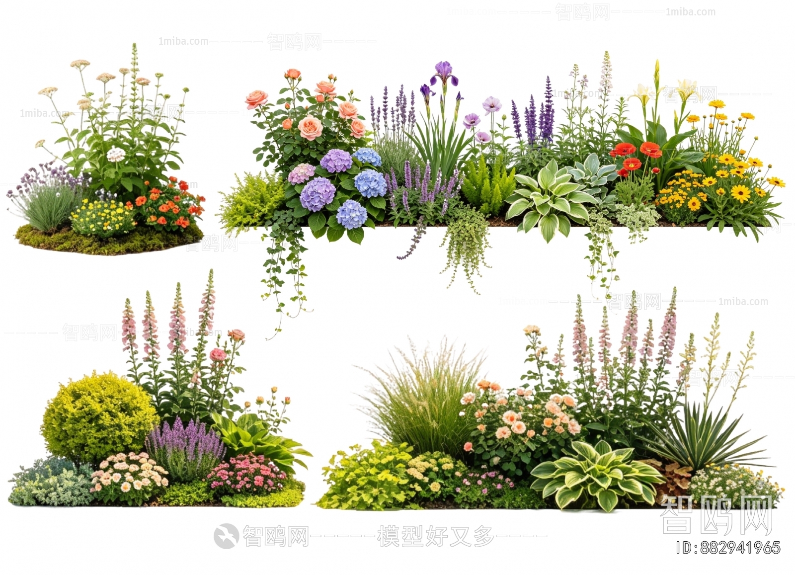 Modern Flowers And Grass