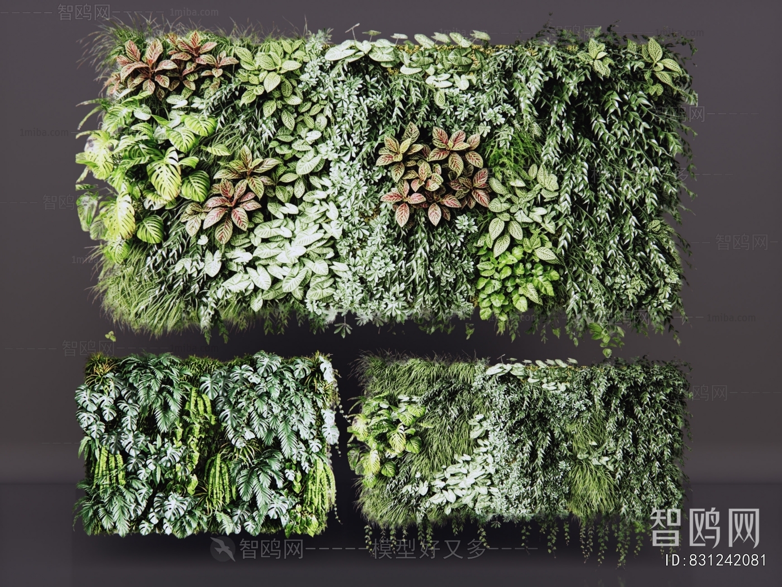 Modern Plant Wall