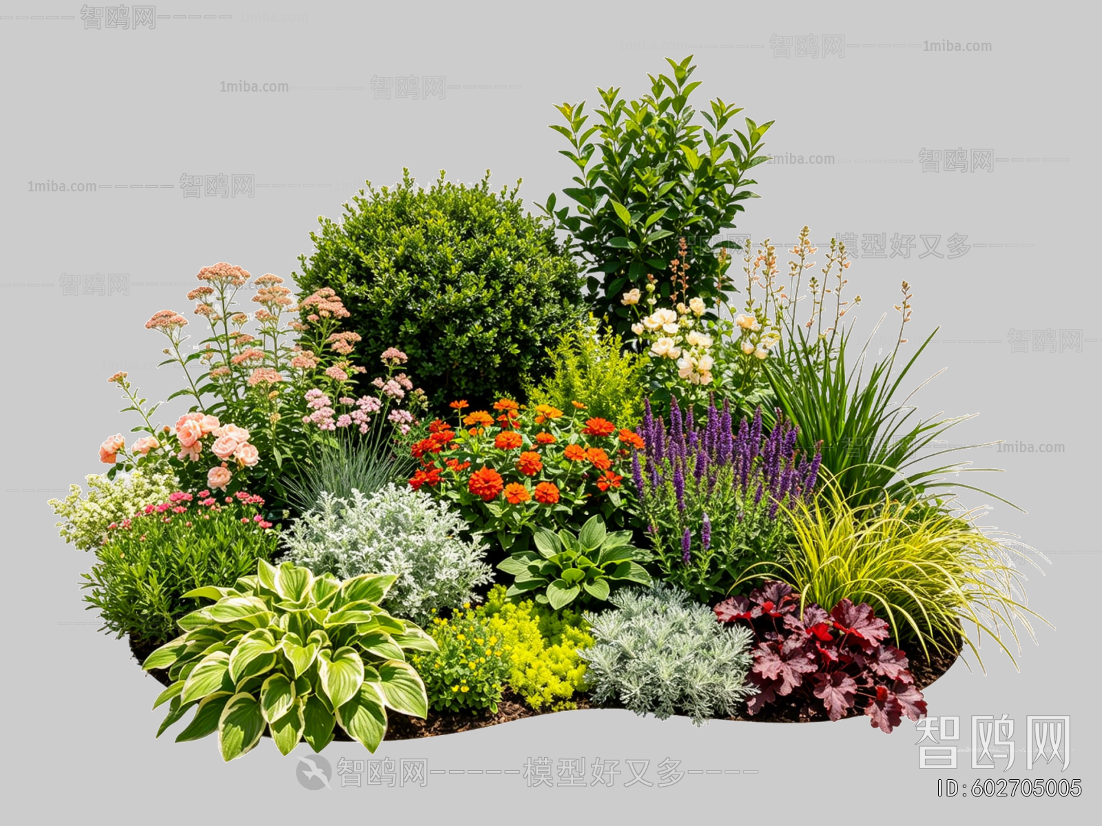 Plant Leaves