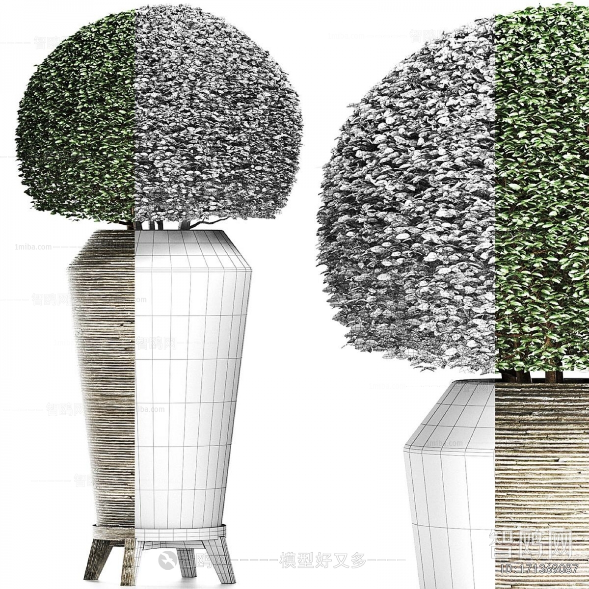 Modern Ground Green Plant Potted Plants