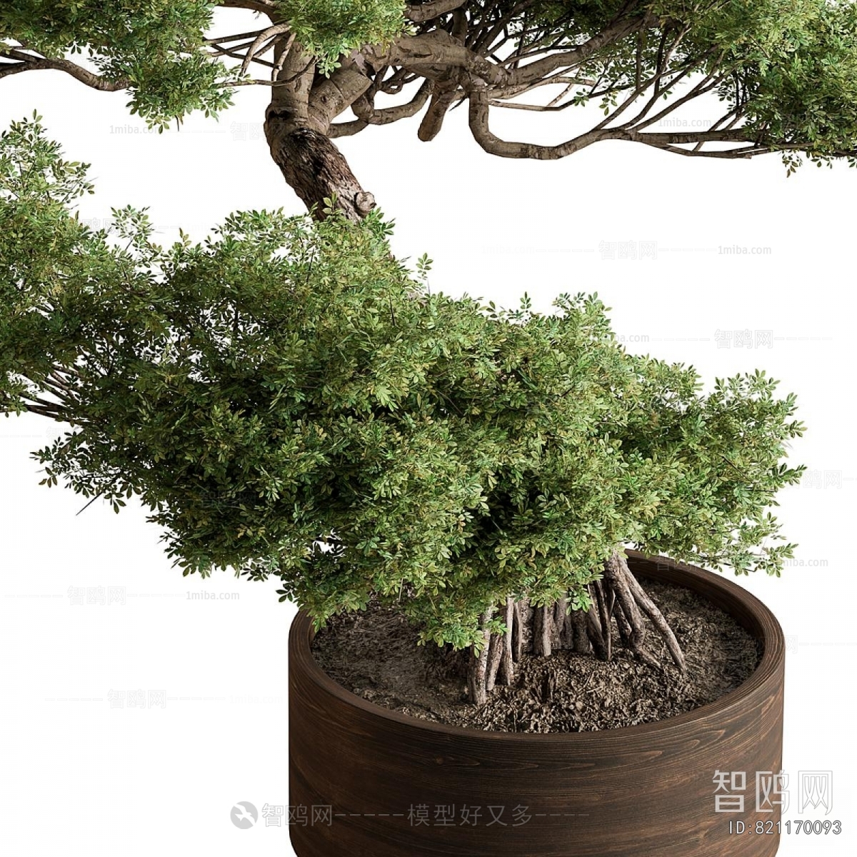 Modern Ground Green Plant Potted Plants