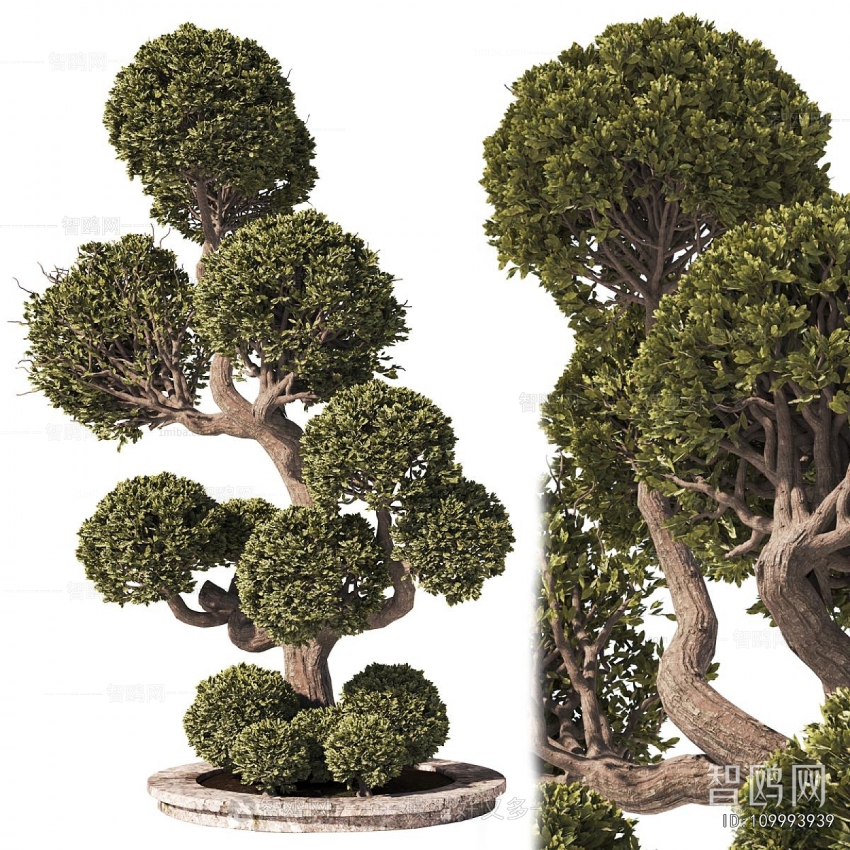 Modern Tree