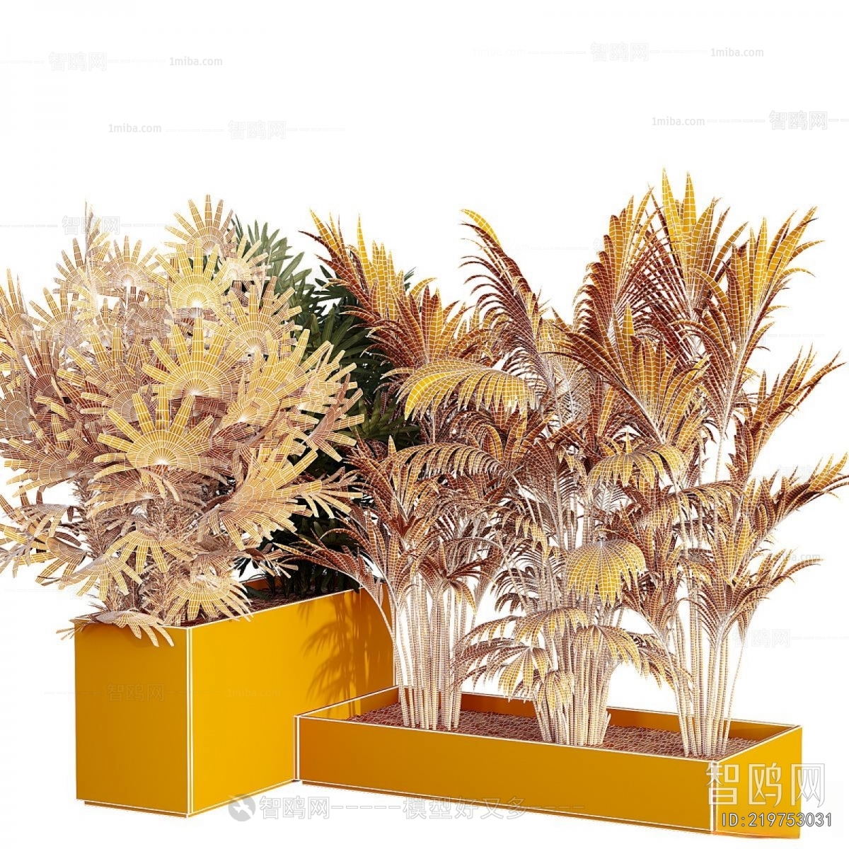 Modern Flower Bed, Flower Bowl, Flower Box