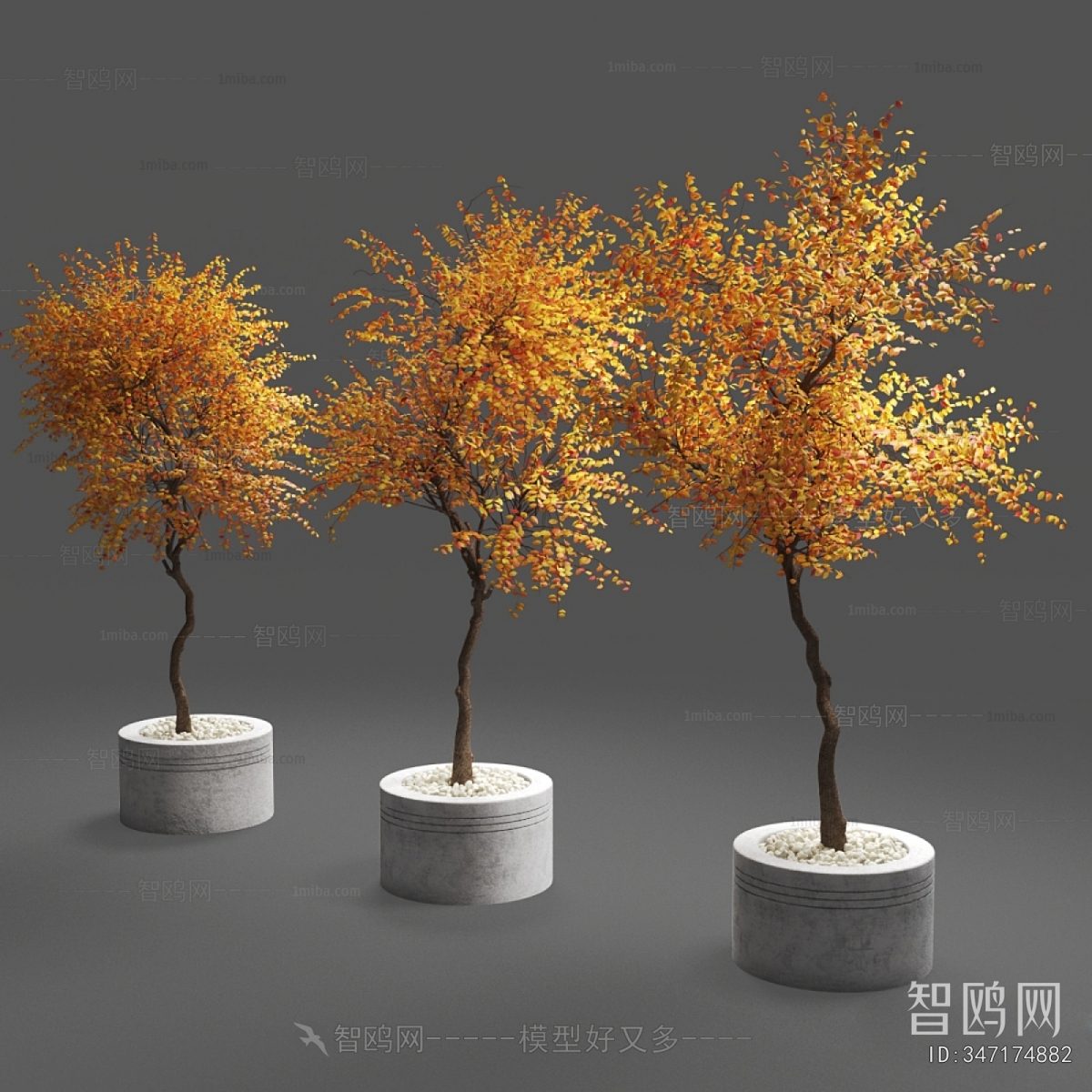 Modern Tree