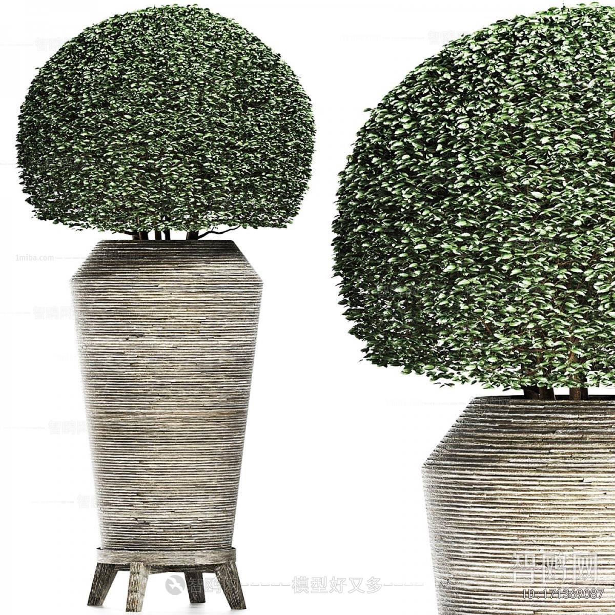 Modern Ground Green Plant Potted Plants
