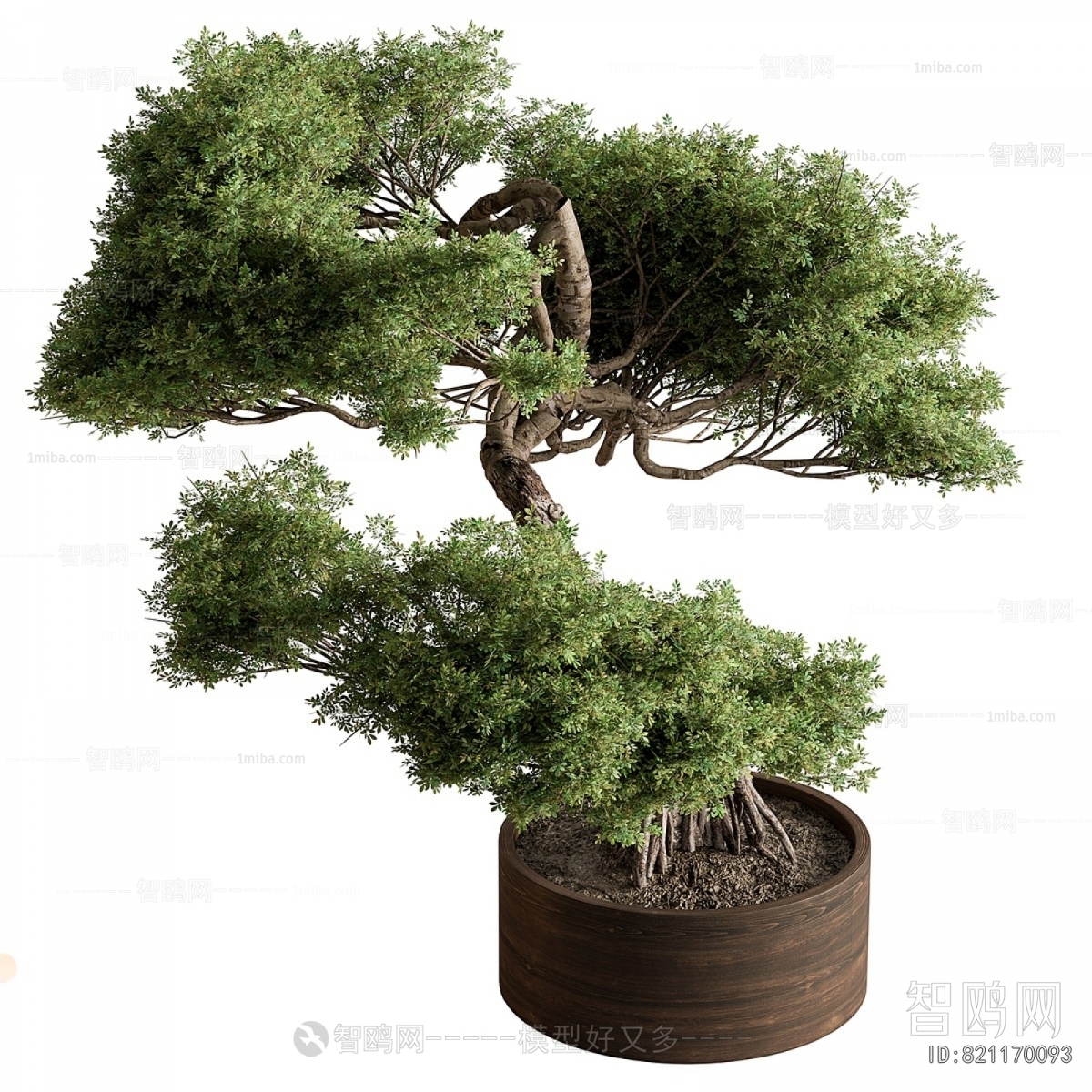 Modern Ground Green Plant Potted Plants