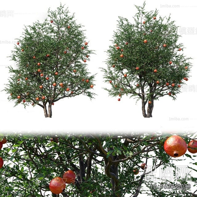 Modern Tree