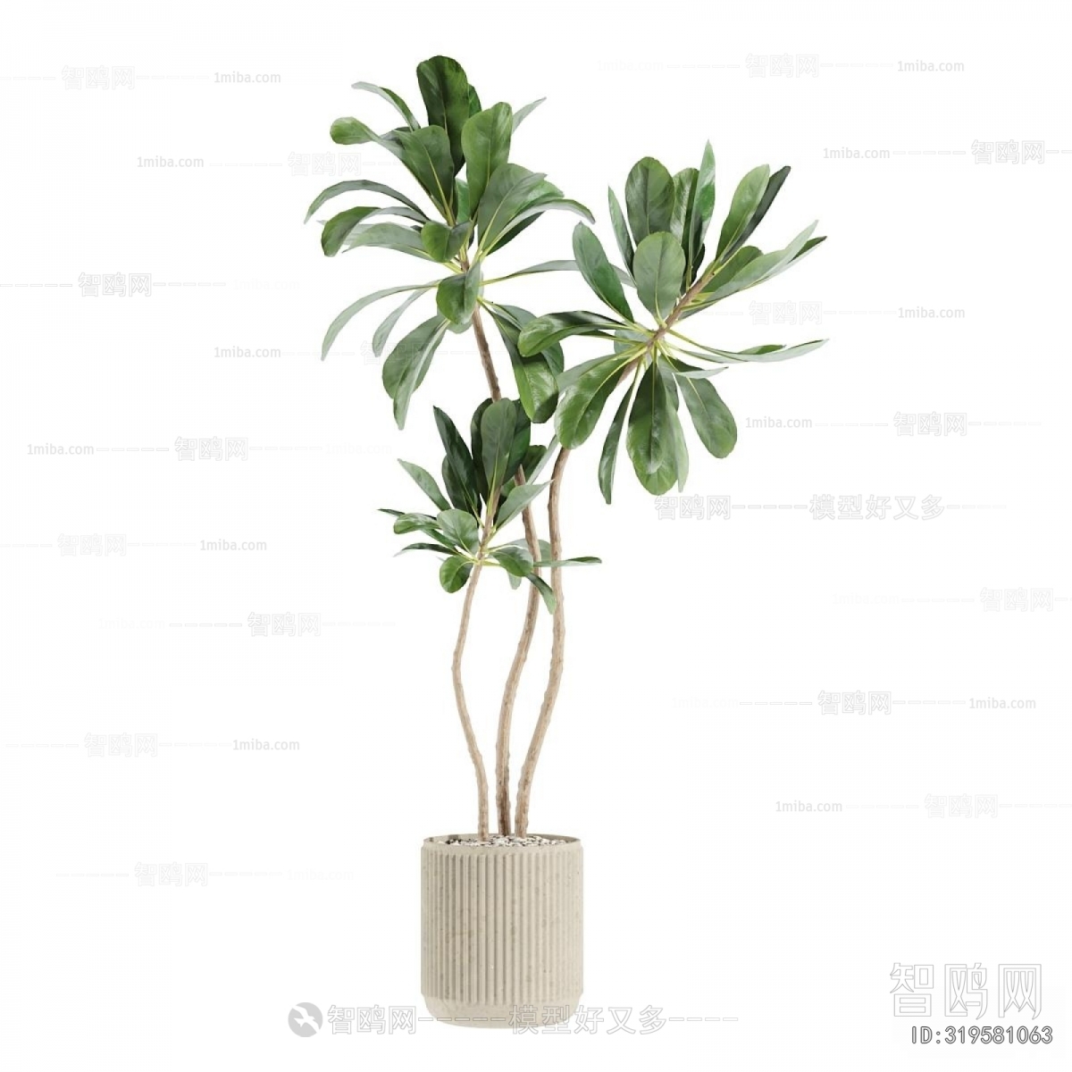 Modern Ground Green Plant Potted Plants