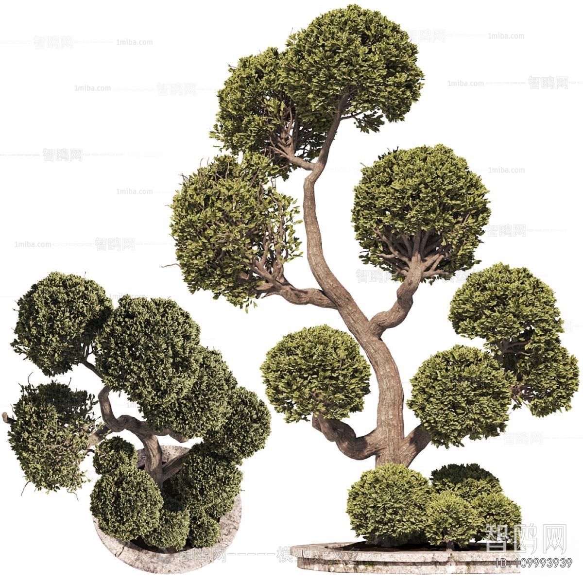 Modern Tree