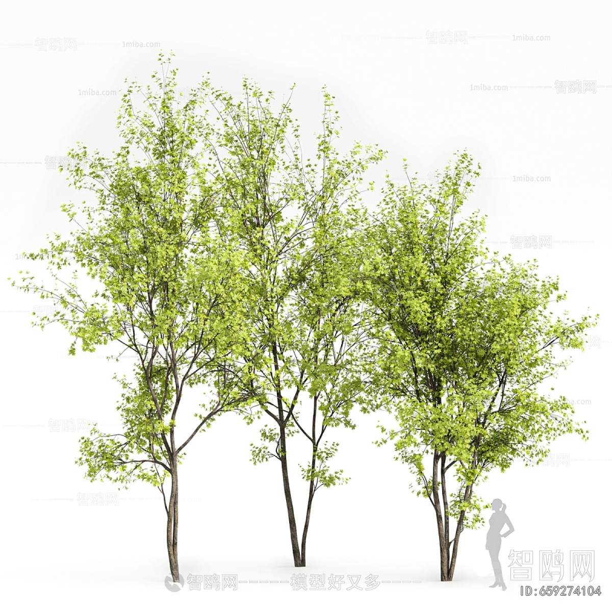 Modern Tree