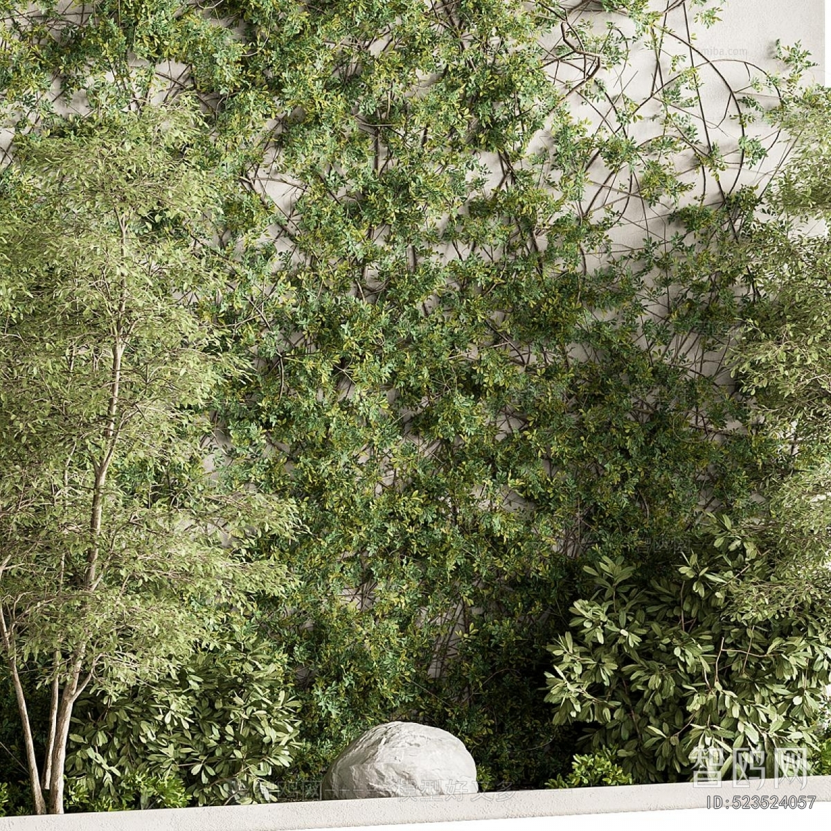 Modern Plant Landscaping