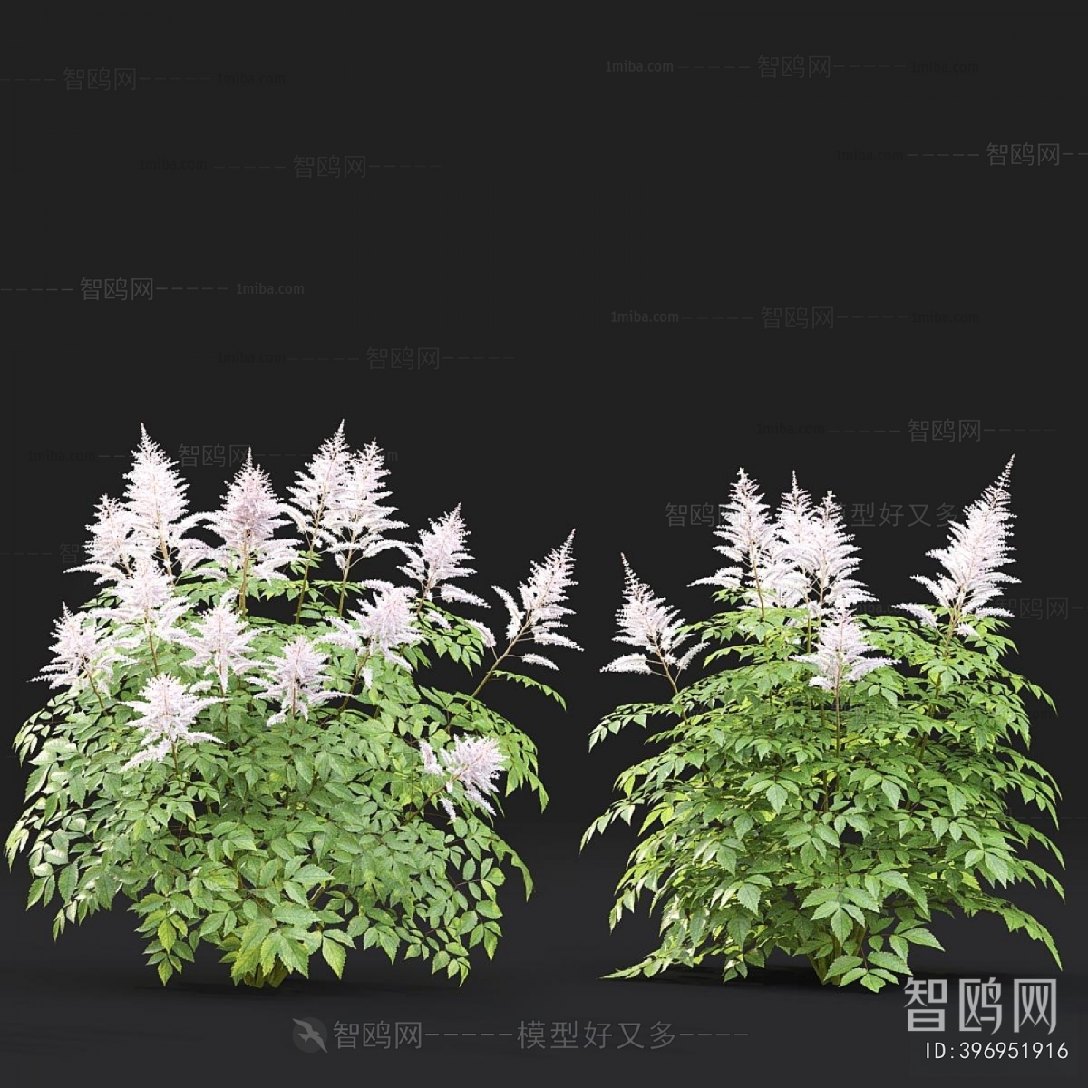 Modern Flowers And Grass
