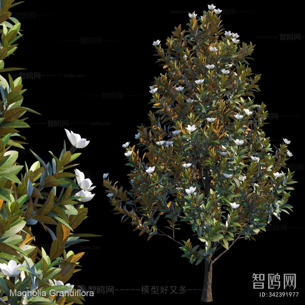 Modern Tree