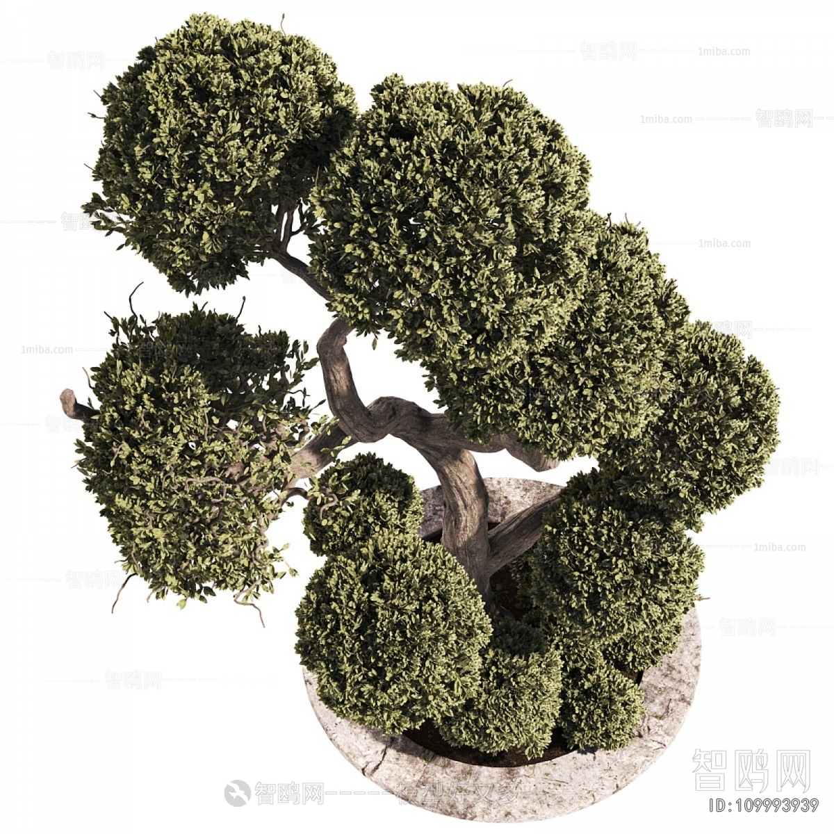 Modern Tree