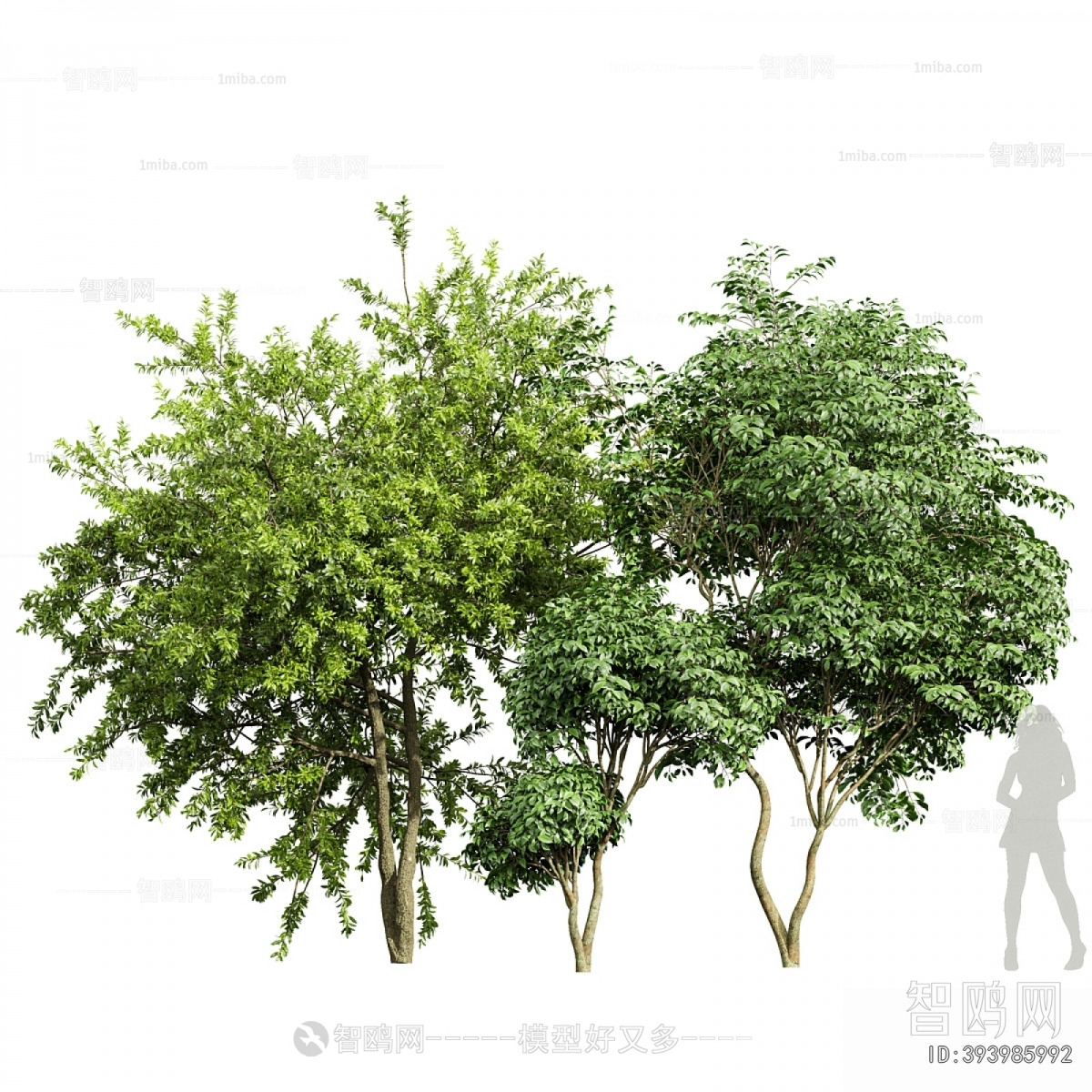 Modern Tree