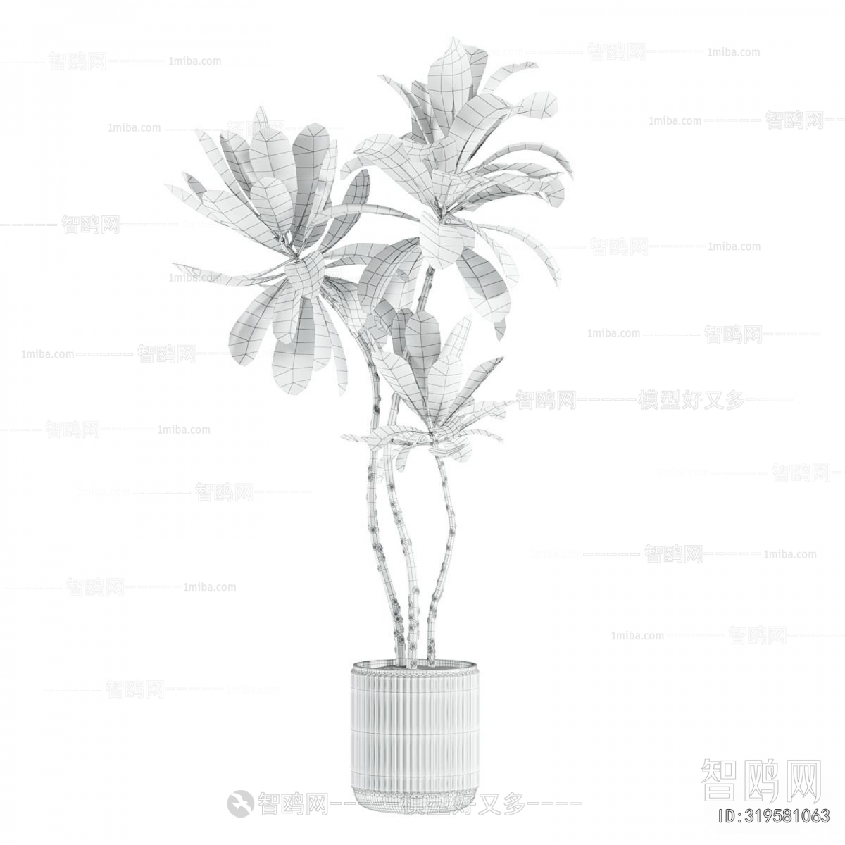 Modern Ground Green Plant Potted Plants