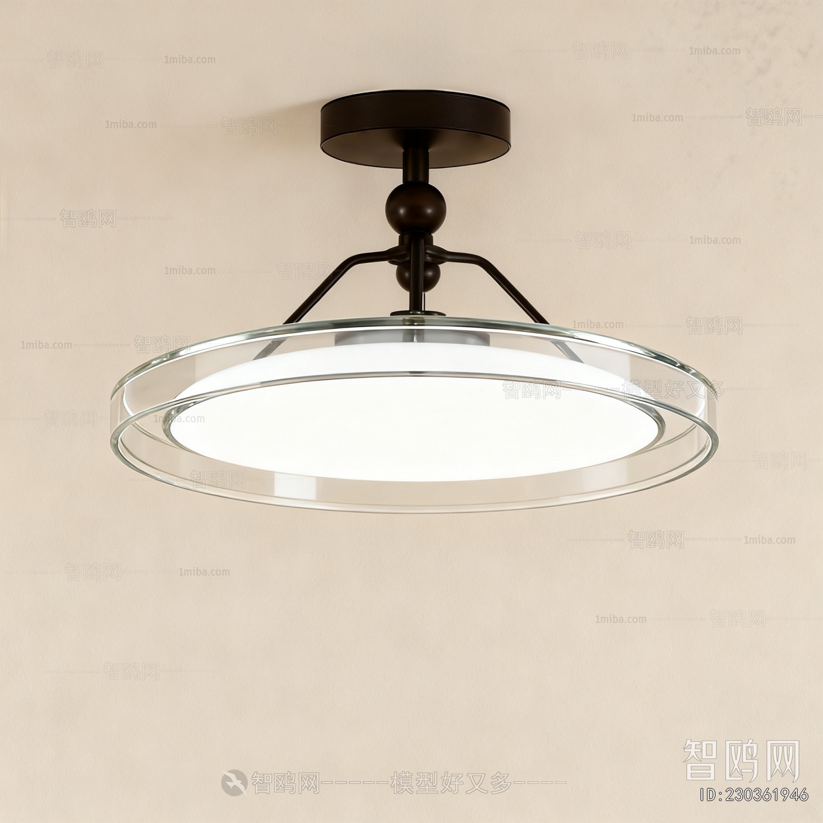 Modern Ceiling Ceiling Lamp