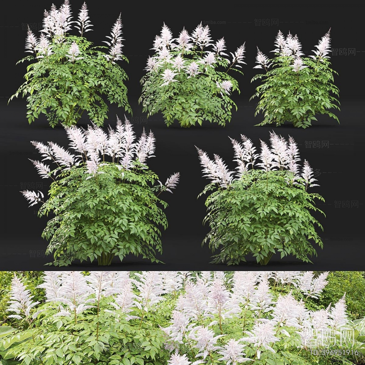 Modern Flowers And Grass