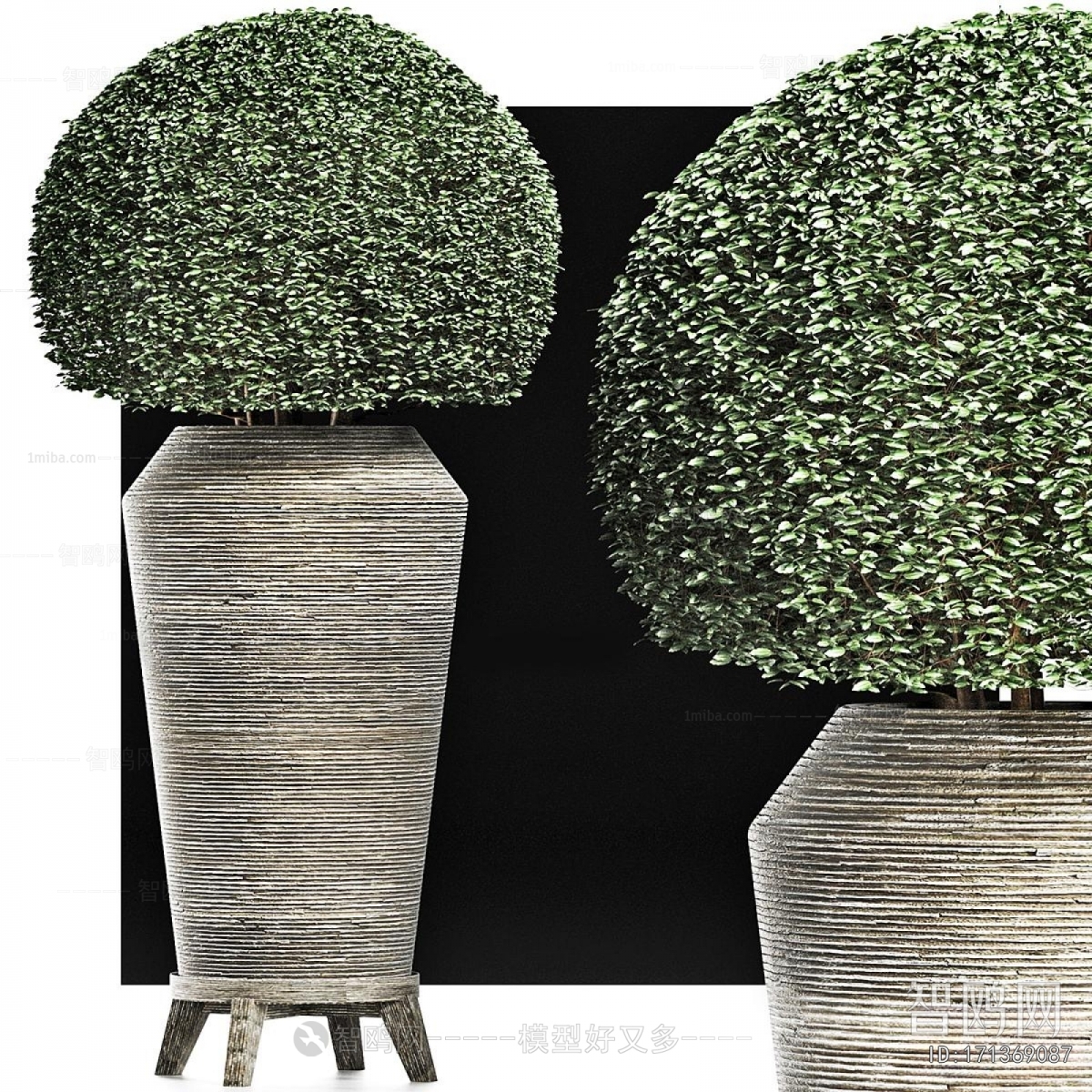 Modern Ground Green Plant Potted Plants