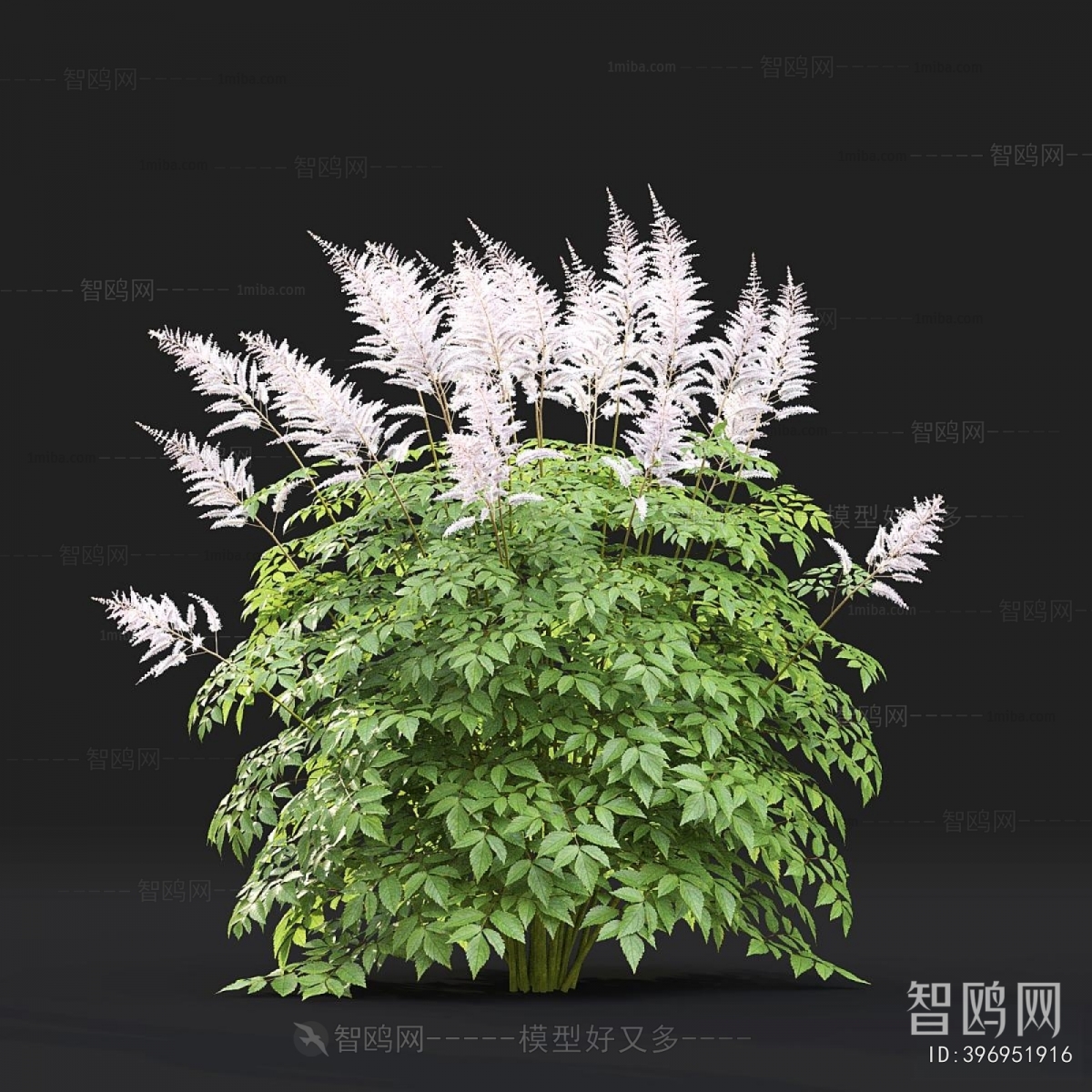 Modern Flowers And Grass