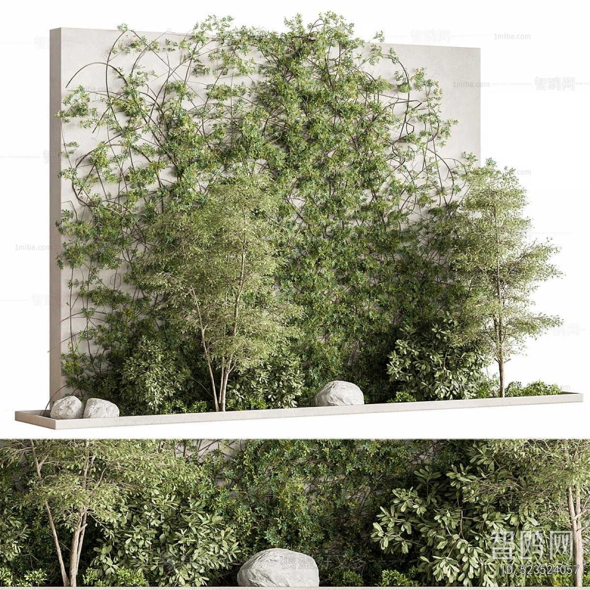 Modern Plant Landscaping