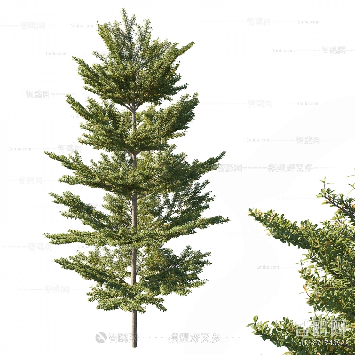 Modern Tree